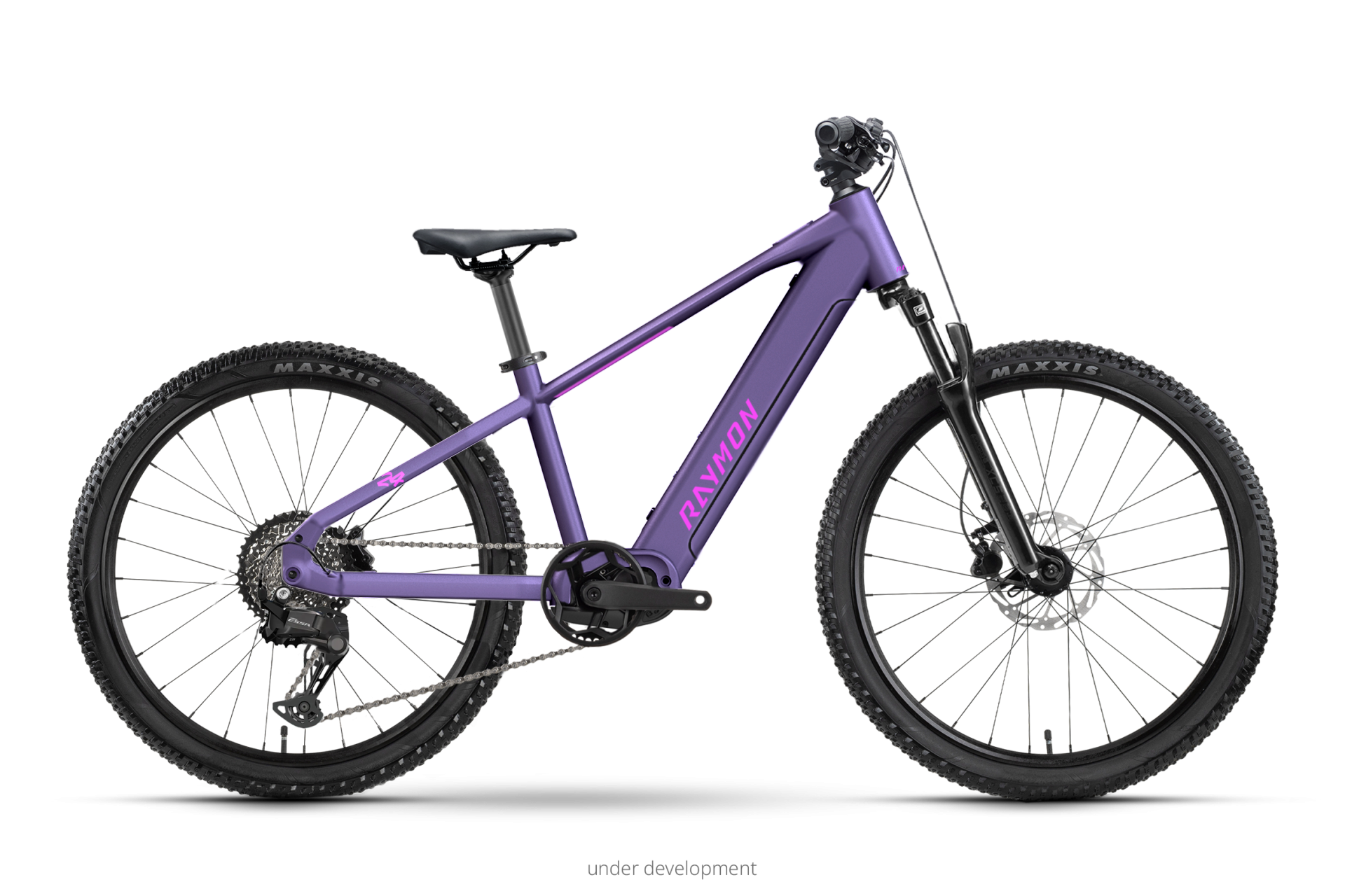 Raymon Zorq Pure 24" hyacinth