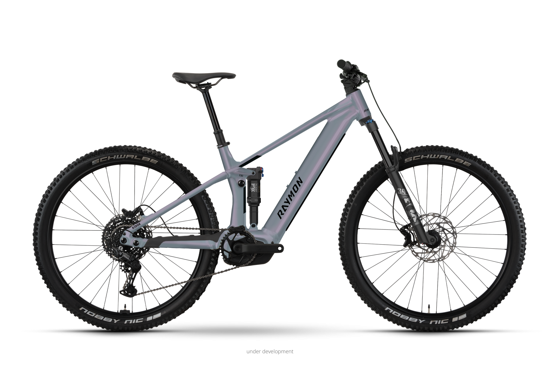 Raymon Ridok Ultra E-Mountainbike Fully mit Panasonic GXMmg galaxygrey