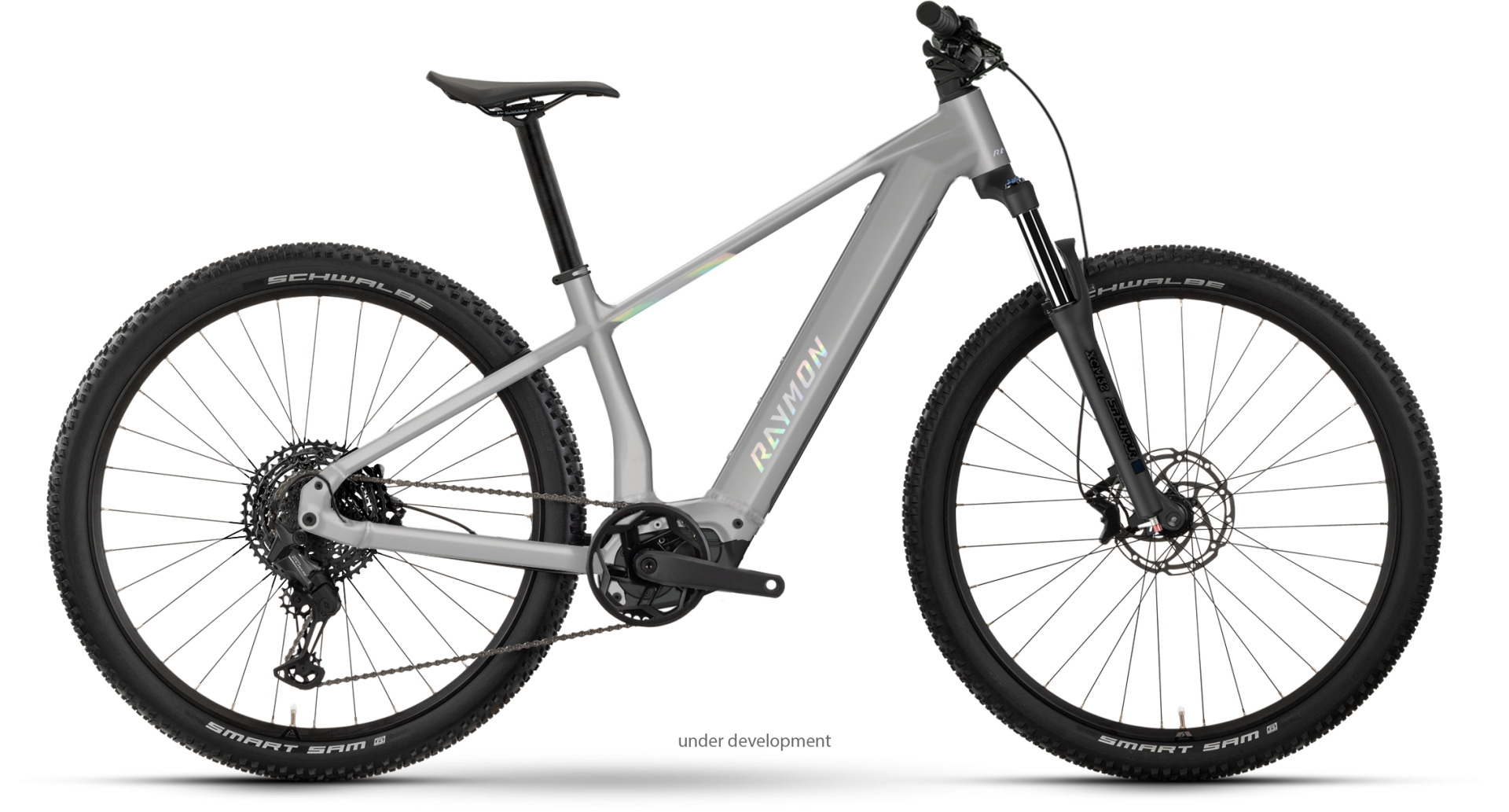 Raymon Zorq Comp 29" titansilver