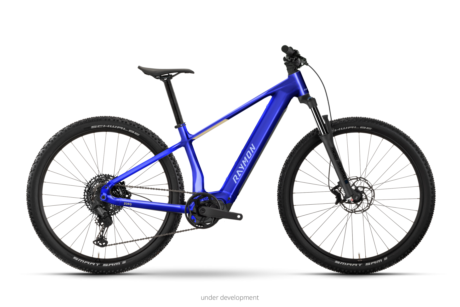 Raymon Zorq Comp 29" ultramarine blue