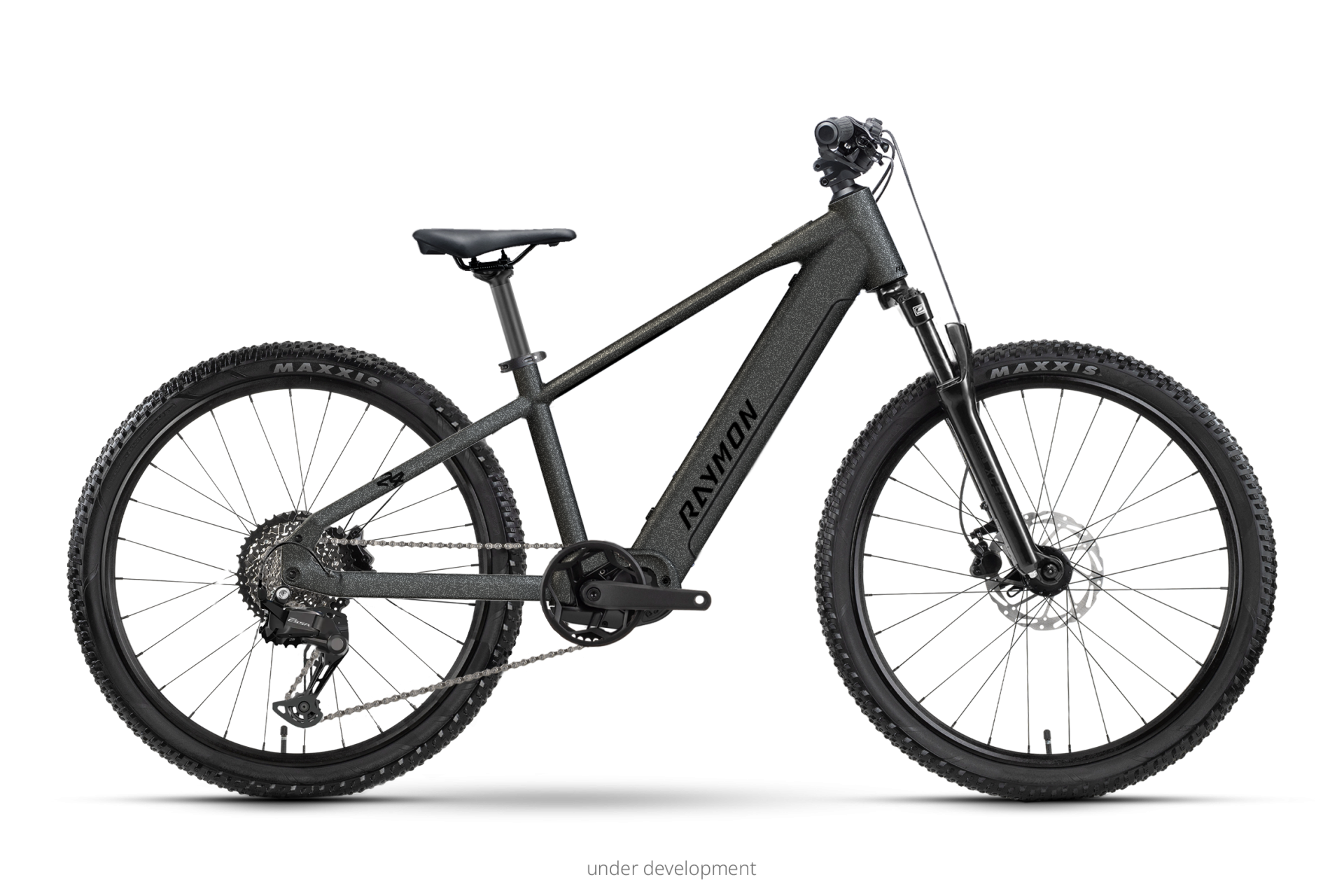 Raymon Zorq Pure 24" starblack